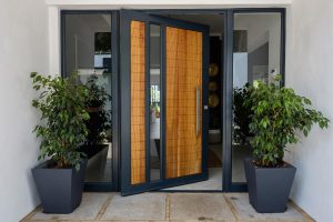 Pivot Doors